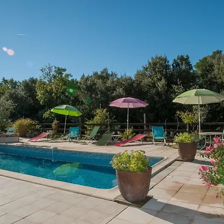 Bed & Breakfast Pinede